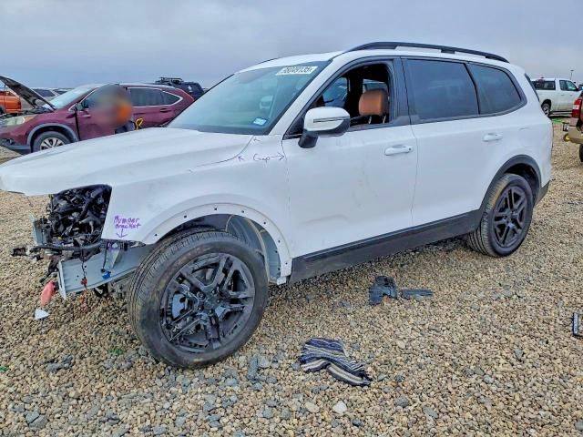 2025 KIA Telluride ex