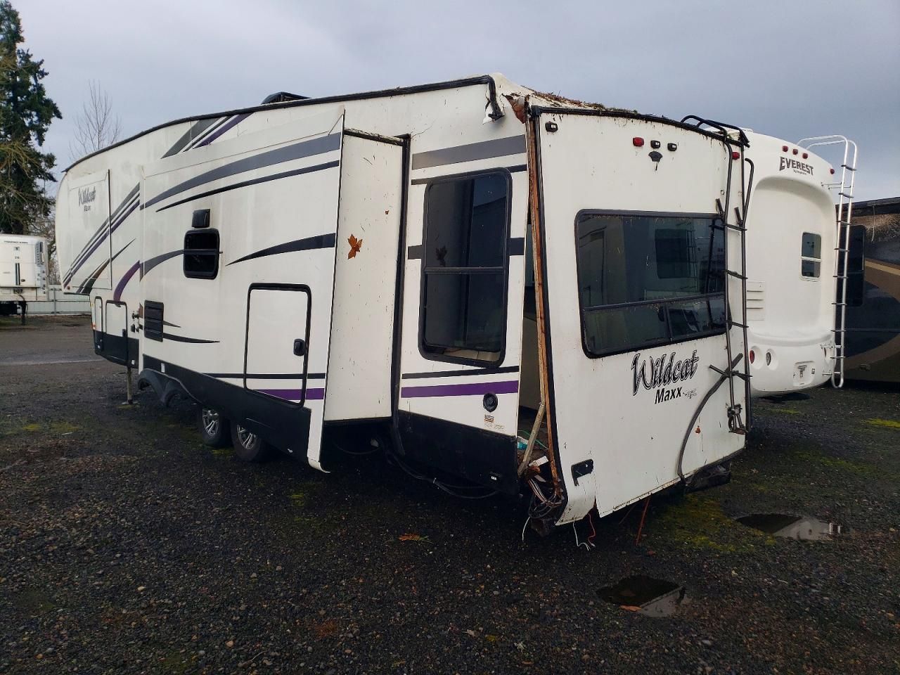 2020 Wildcat Cat Maxx Lite