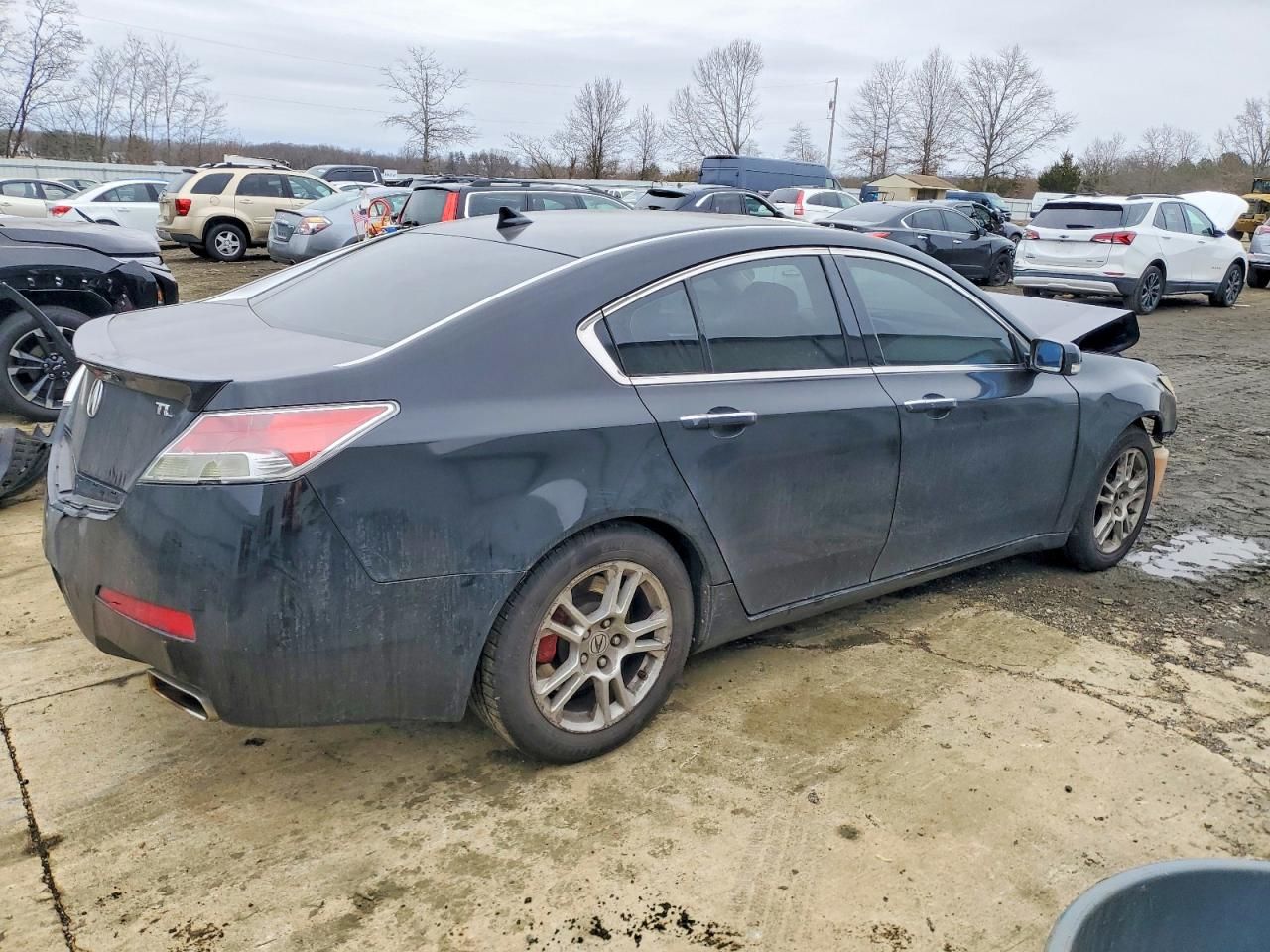 2009 Acura TL