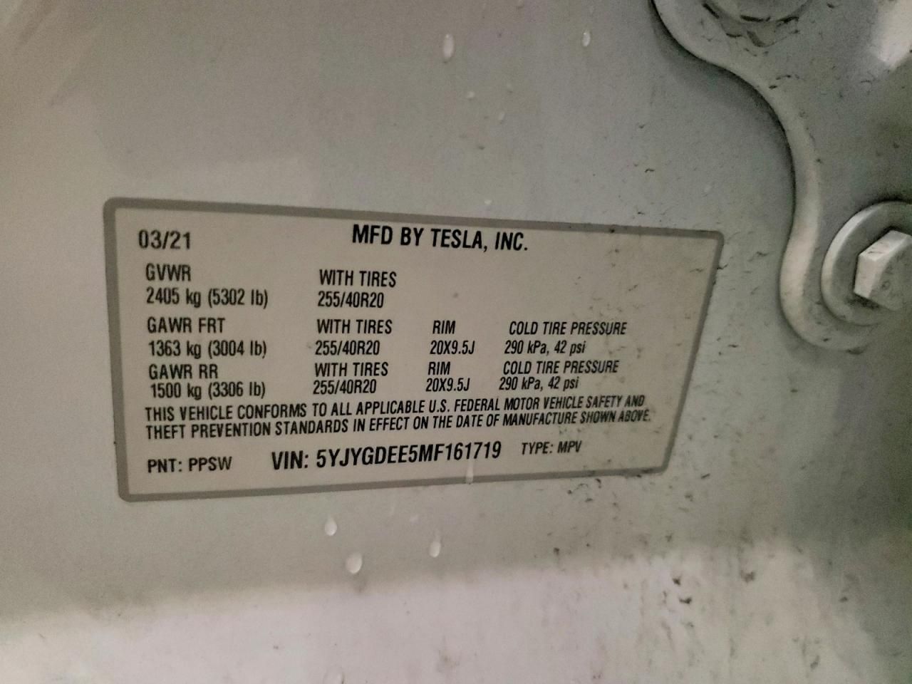 2021 Tesla Model y