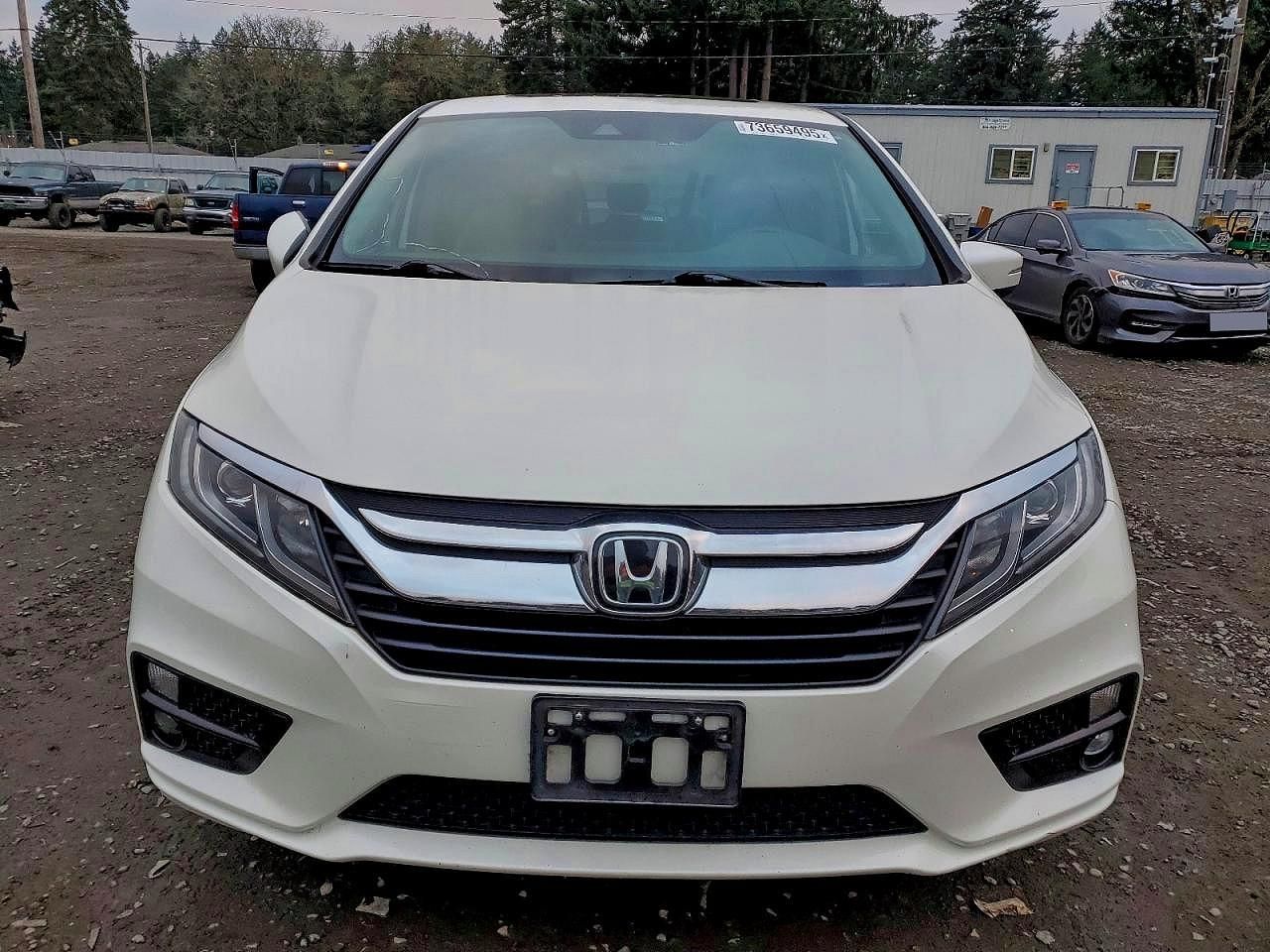 2019 Honda Odyssey exl