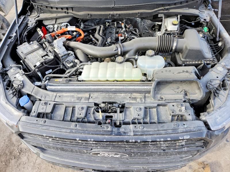 2025 Ford F150 Platinum