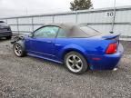 2003 Ford Mustang gt