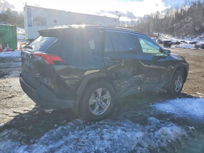 2025 Toyota Rav4 xle