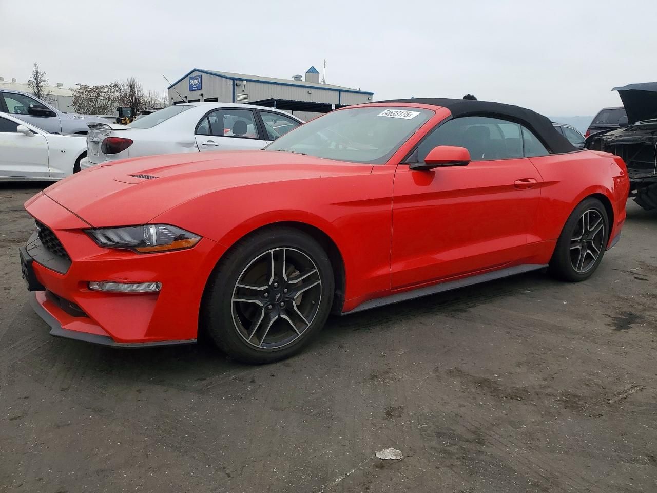 2019 Ford Mustang