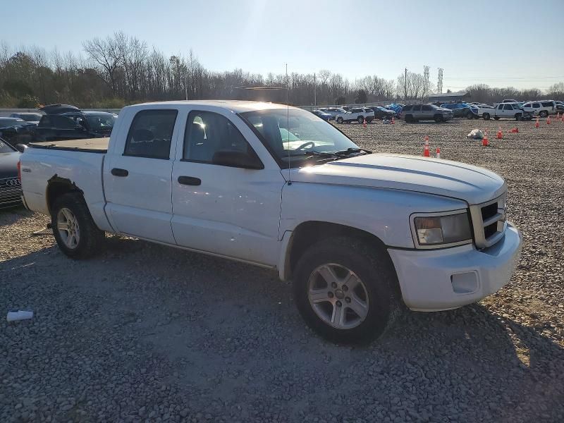 2010 Dodge Dakota sxt
