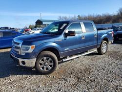 Ford salvage cars for sale: 2014 Ford F150 Supercrew