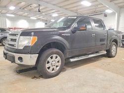 Salvage cars for sale from Copart Ham Lake, MN: 2014 Ford F150 Supercrew