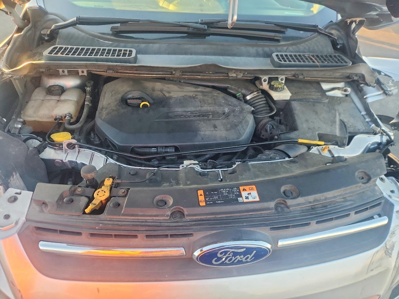 2014 Ford Escape se