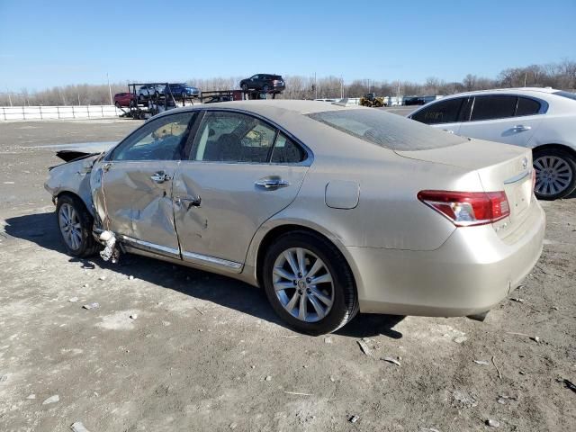 2010 Lexus ES 350