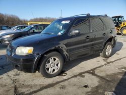 Vehiculos salvage en venta de Copart Windsor, NJ: 2007 Ford Escape Limited