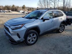 Salvage cars for sale from Copart Candia, NH: 2023 Toyota Rav4 XLE
