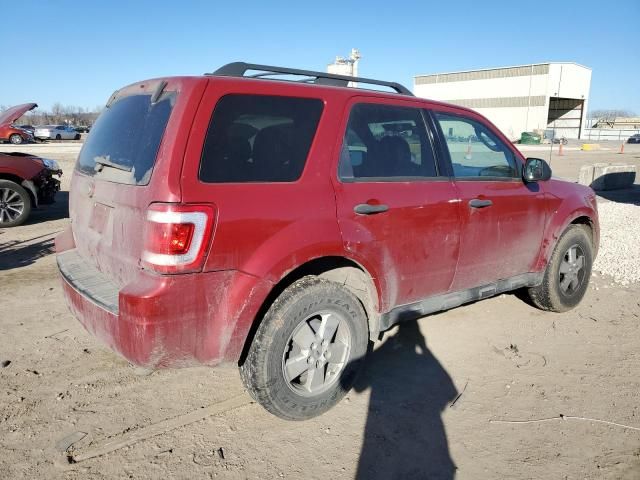 2010 Ford Escape XLT