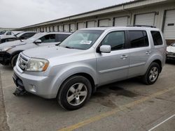 Honda salvage cars for sale: 2010 Honda Pilot EXL