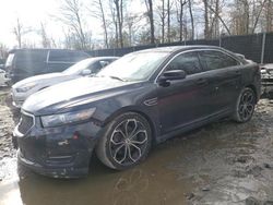 Ford salvage cars for sale: 2018 Ford Taurus SHO
