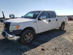 Vehiculos salvage en venta de Copart Lumberton, NC: 2014 Ford F150 Supercrew