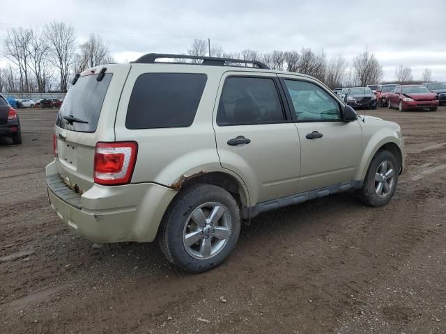 2010 Ford Escape XLT