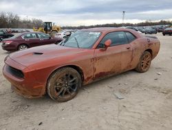 Salvage cars for sale from Copart Oklahoma City, OK: 2023 Dodge Challenger SXT