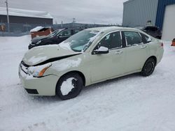 2010 Ford Focus SE for sale in Elmsdale, NS