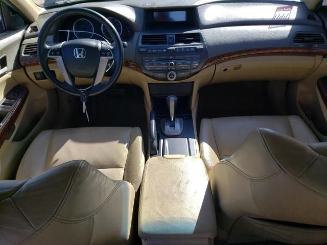 2010 Honda Accord EXL