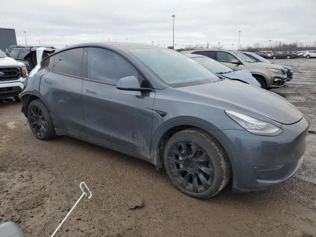 2020 Tesla Model Y