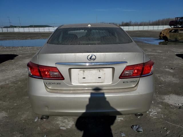 2010 Lexus ES 350