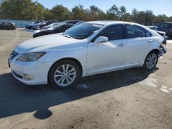 Lexus salvage cars for sale: 2010 Lexus ES 350