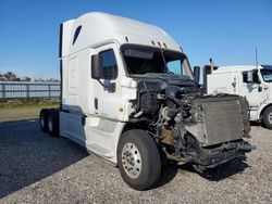 Freightliner Cascadia 125 salvage cars for sale: 2015 Freightliner Cascadia 125