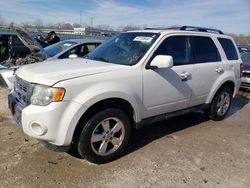 2012 Ford Escape Limited for sale in Louisville, KY