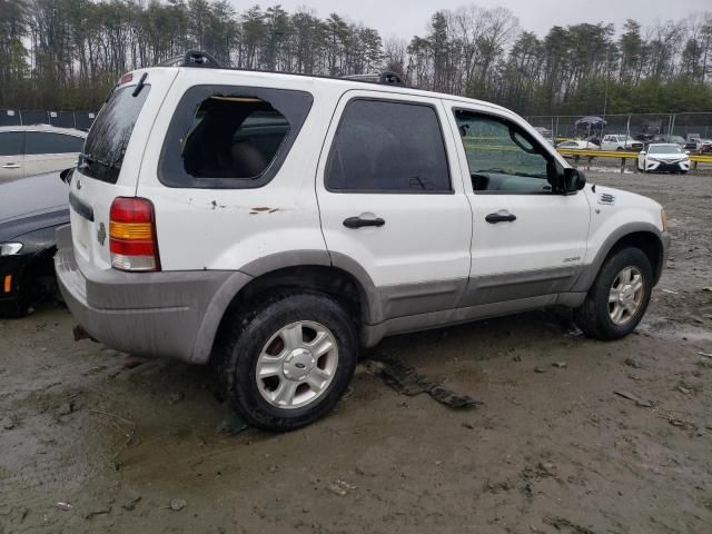 2001 Ford Escape XLT