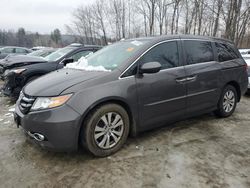 Honda Odyssey exl Vehiculos salvage en venta: 2015 Honda Odyssey EXL