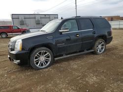 Cadillac Escalade salvage cars for sale: 2013 Cadillac Escalade Premium