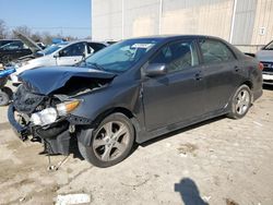 Toyota salvage cars for sale: 2013 Toyota Corolla Base