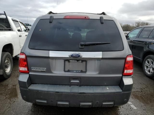 2010 Ford Escape Limited