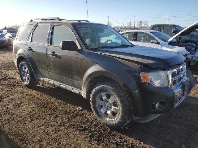 2010 Ford Escape Limited