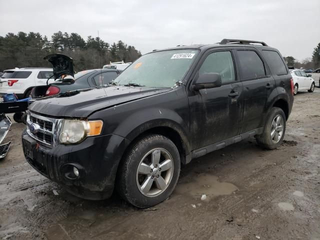 2011 Ford Escape XLT