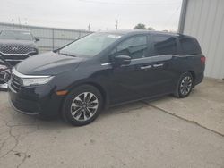 2021 Honda Odyssey EXL for sale in Lexington, KY