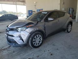 2019 Toyota C-HR XLE for sale in Homestead, FL