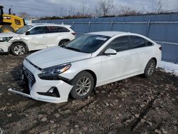 Hyundai salvage cars for sale: 2019 Hyundai Sonata SE