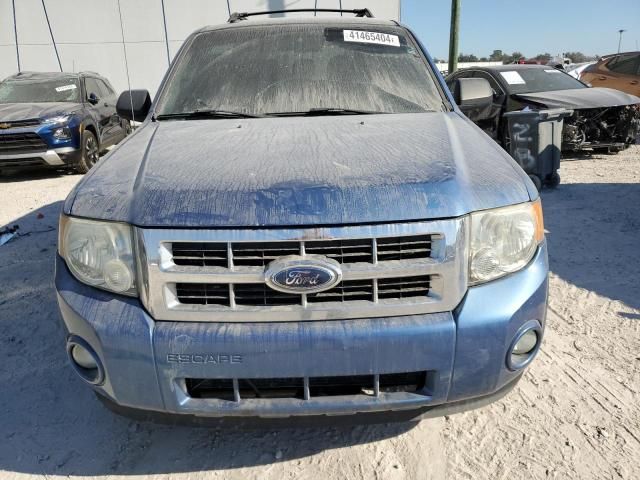 2010 Ford Escape XLT