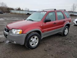 2001 Ford Escape XLT for sale in Columbia Station, OH