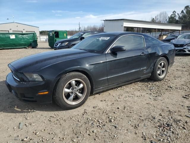 2013 Ford Mustang