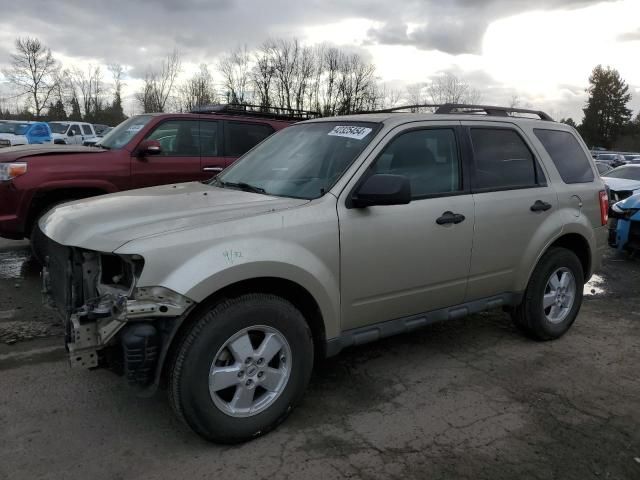 2010 Ford Escape XLS