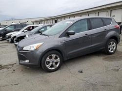 Ford Vehiculos salvage en venta: 2014 Ford Escape SE