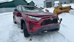 Vehiculos salvage en venta de Copart Montreal Est, QC: 2023 Toyota Rav4 XLE