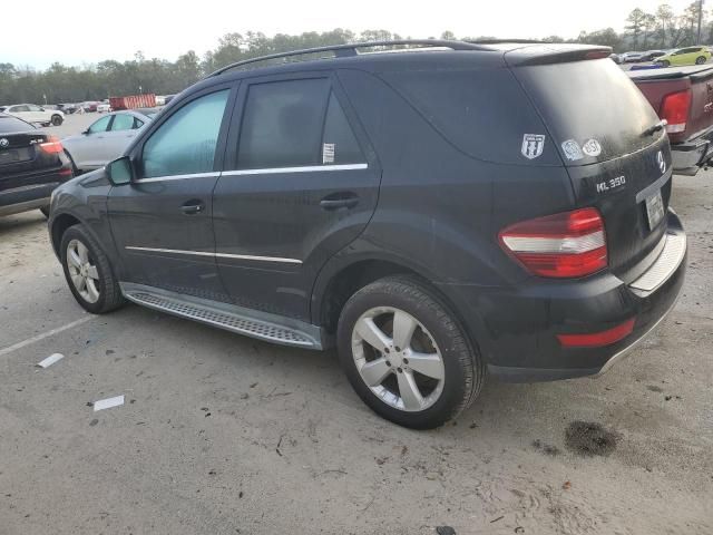 2010 Mercedes-Benz ML 350