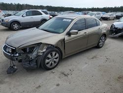 Vehiculos salvage en venta de Copart Harleyville, SC: 2010 Honda Accord EXL