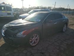 2012 Nissan Maxima S for sale in Indianapolis, IN