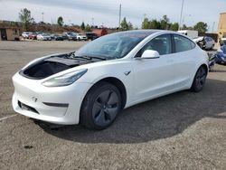 2020 Tesla Model 3 for sale in Gaston, SC