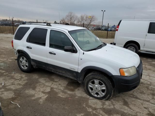 2001 Ford Escape XLT